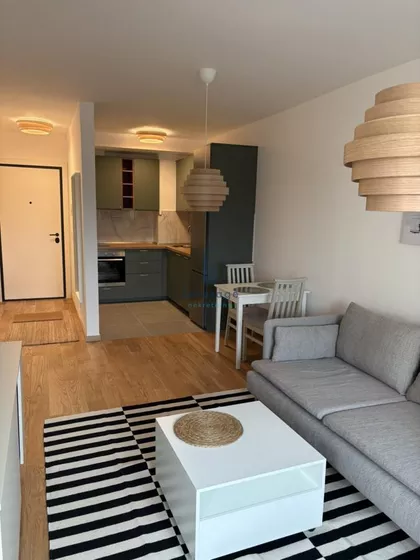 Dragoslava Srejovića | 4zida.rs