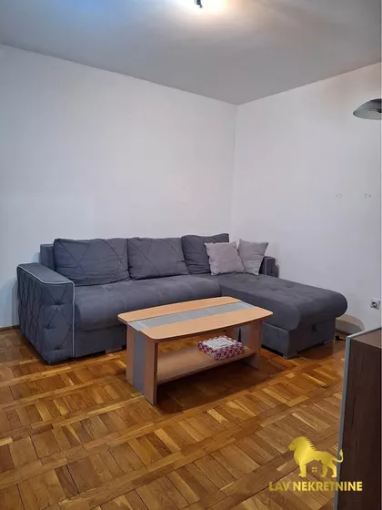 DR SVETISLAVA KASAPINOVIĆA | 4zida.rs