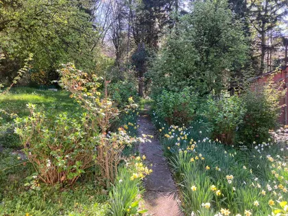 Šumski Laz | 4zida.rs