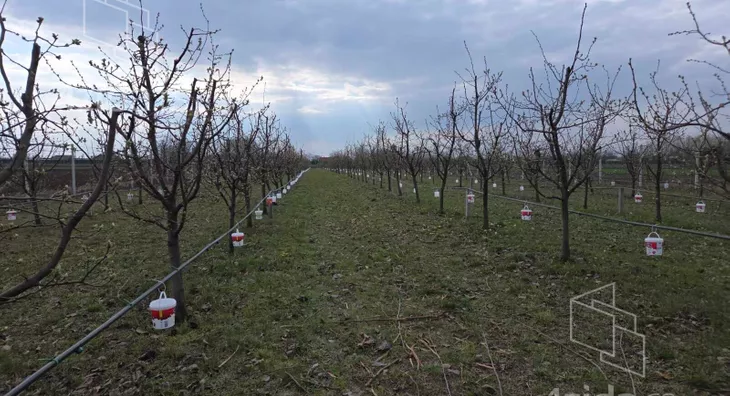 Poljoprivredno zemljište | 4zida