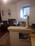 Beograd, Palilula opština, Botanička Bašta | 4zida.rs | 4zida.rs