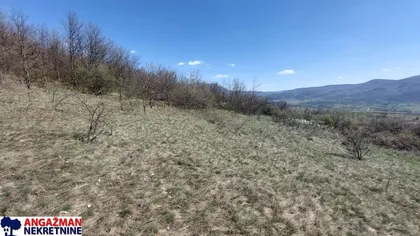 Krivovirska | 4zida.rs