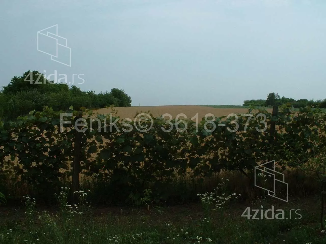 Plac | 4zida
