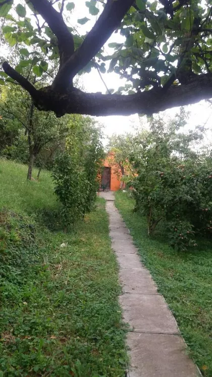 Petrovaradin | 4zida.rs