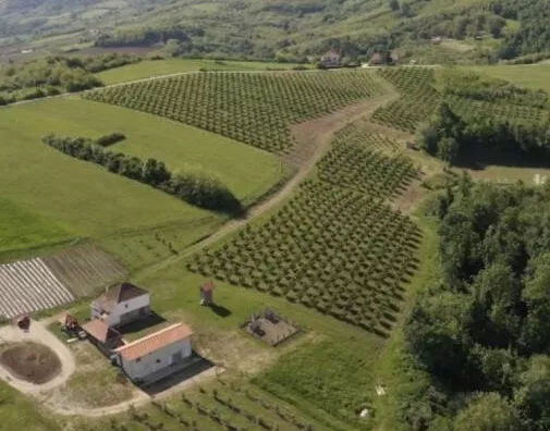 Poljoprivredno zemljište | 4zida