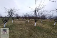 Poljoprivredno zemljište | 4zida