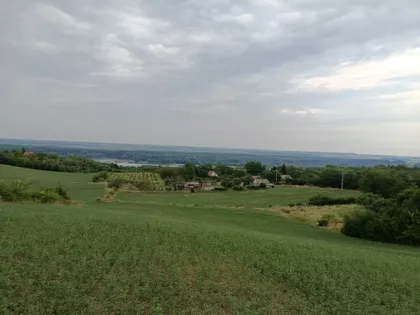 Slankamenački Vinogradi | 4zida.rs