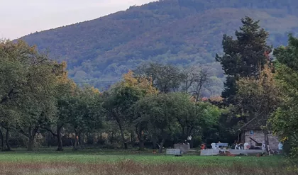 Karađorđeva | 4zida.rs