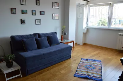 ZELENI VENAC | 4zida.rs