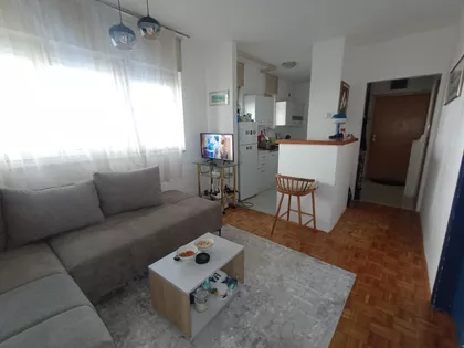 Nede Spasojević | 4zida.rs