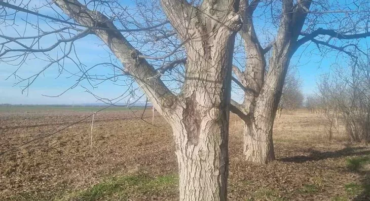 Poljoprivredno zemljište | 4zida