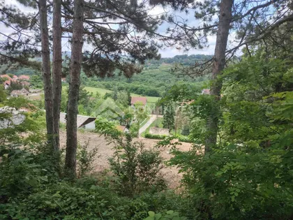 Solinska | 4zida.rs