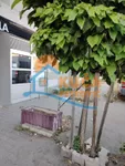 Lokal | 4zida