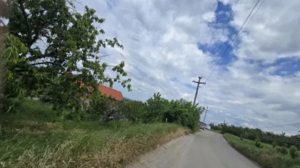 Ritopek | 4zida.rs
