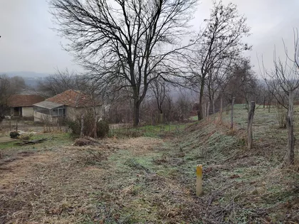 Milosava Ivkovića | 4zida.rs