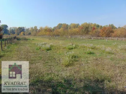 Draževac | 4zida.rs