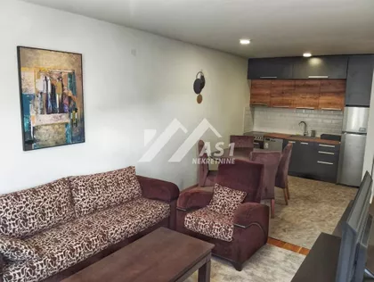 Jerneja Kopitara | 4zida.rs