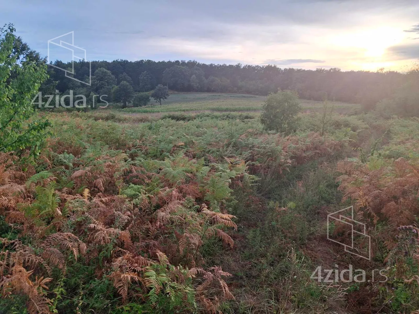 Poljoprivredno zemljište | 4zida