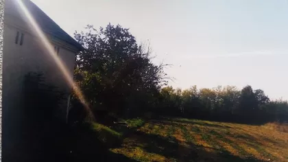 Krušar | 4zida.rs