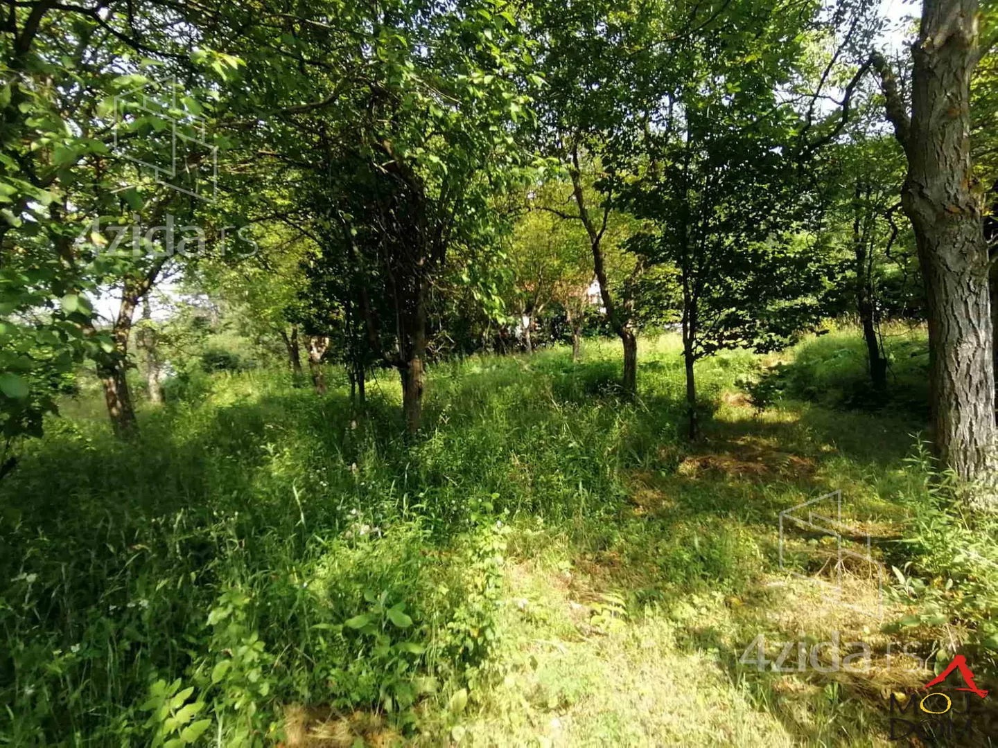Plac | 4zida