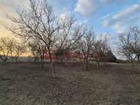 Palić, Okolne lokacije, Subotica | 4zida.rs