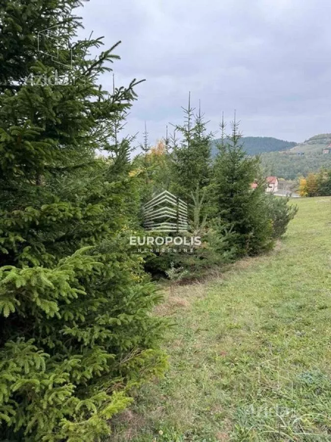 Plac | 4zida