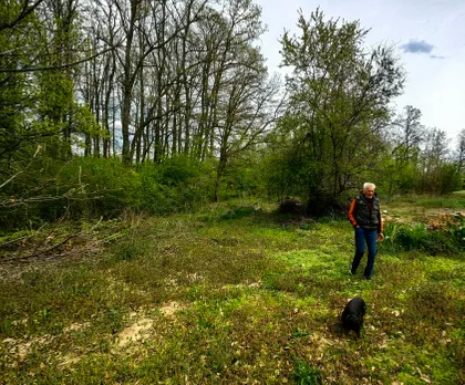Hajduk-Veljkova 26 | 4zida.rs