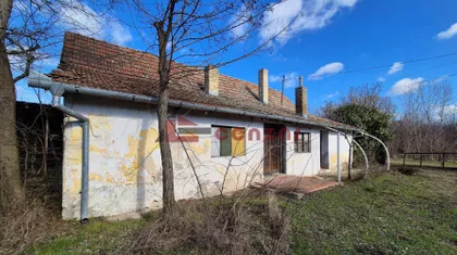 Srpski Šor | 4zida.rs