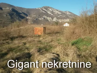 Ostrovica