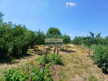 Kovačevac | 4zida.rs