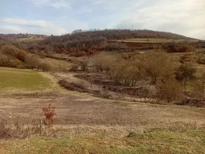 Vladike Nikolaja Velimirovića | 4zida.rs