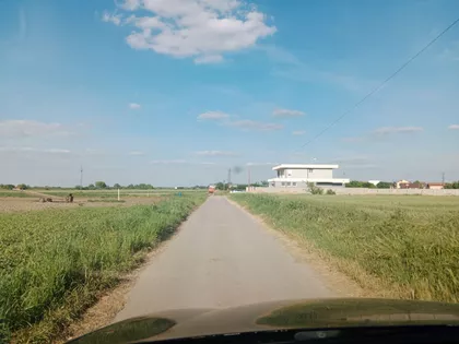 Anastasa Bocarića | 4zida.rs