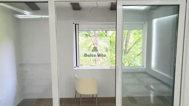 Miše Vujića