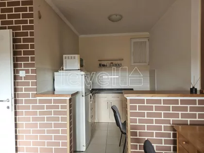 Nova Detelinara | 4zida.rs