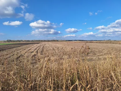 ZRENJANINSKI PUT | 4zida.rs