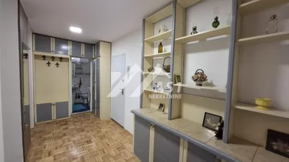 Bulevar despota Stefana, pet friendly | 4zida.rs
