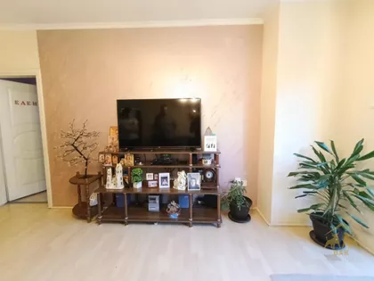 Nova Detelinara | 4zida.rs