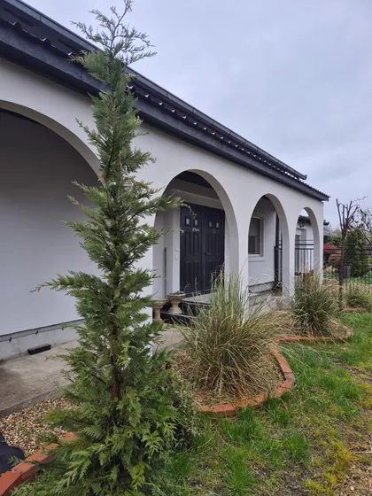 Dobanovci | 4zida.rs