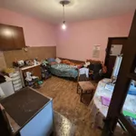 Svetozar Miletić, Okolne lokacije, Sombor | 4zida.rs | 4zida.rs