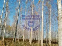 Kovilj, Okolne lokacije, Novi Sad | 4zida.rs