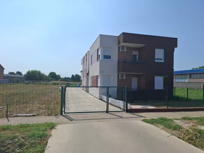 Miše Uboje 11 | 4zida.rs