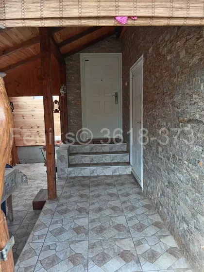 Jedini bor | 4zida.rs