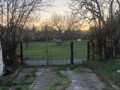 Cara Dušana Nemanjića | 4zida.rs