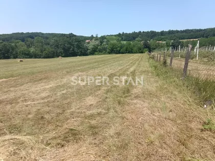 Kosmajska | 4zida.rs