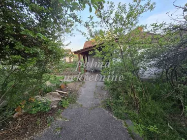 Male Pčelice