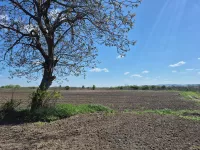 Ovča, Palilula opština, Beograd | 4zida.rs
