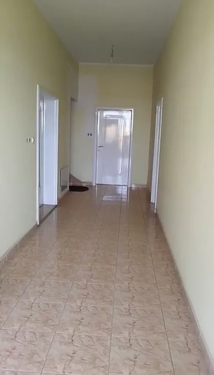 Cara Dušana | 4zida.rs