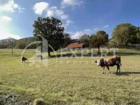 Gradske lokacije, Sremski Karlovci | 4zida.rs