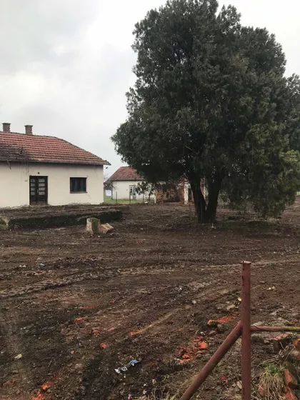 Prvomajska | 4zida.rs