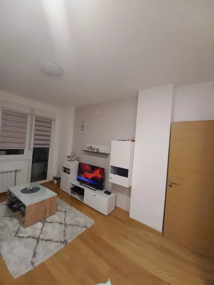 Zmaj Ognjena Vuka | 4zida.rs